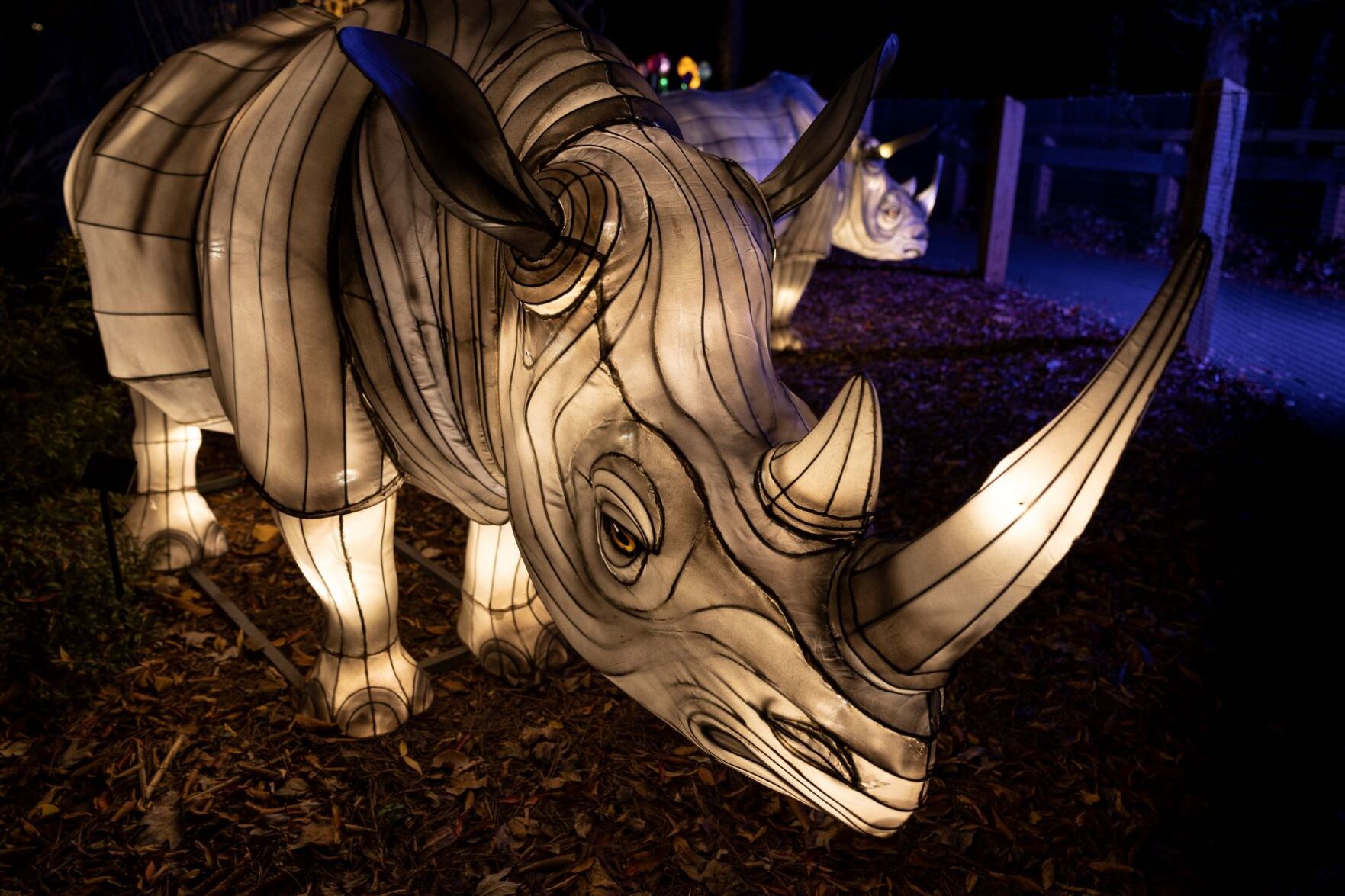 Rhino